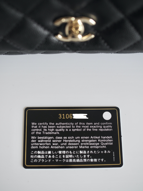 Bag CHANEL Coco Handle Small Black Caviar LGHW - Image 16