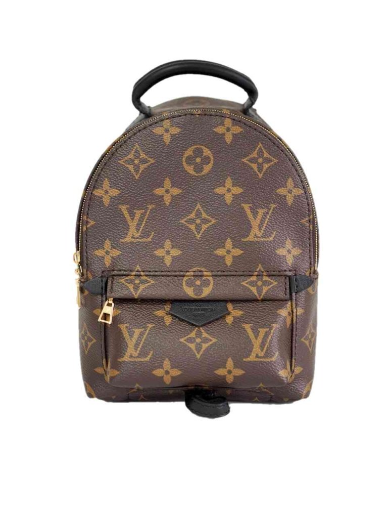 Bag Louis Vuitton Palm Springs pm backpack monogram | New display picture 2